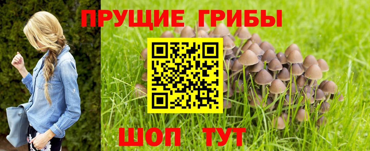 Галлюциногенные грибы мухоморы Кулебаки