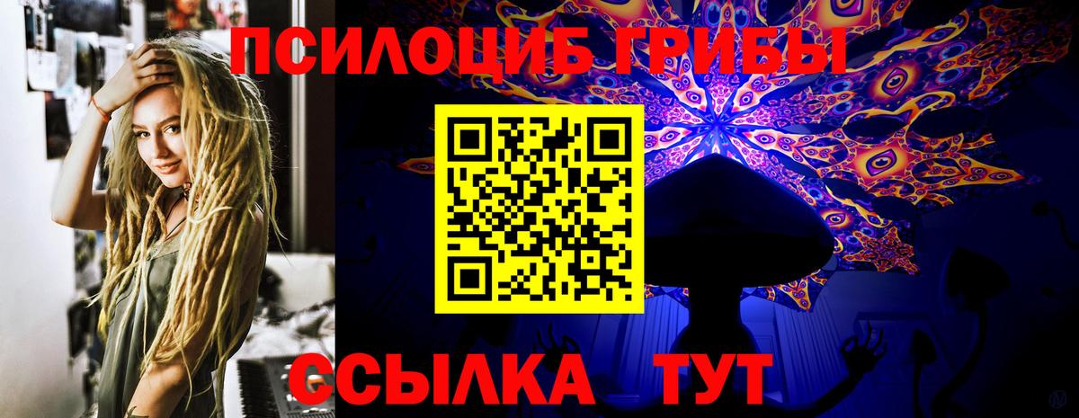 Кулебаки  Псилоцибиновые грибы MAGIC MUSHROOMS  Вход с VPN 